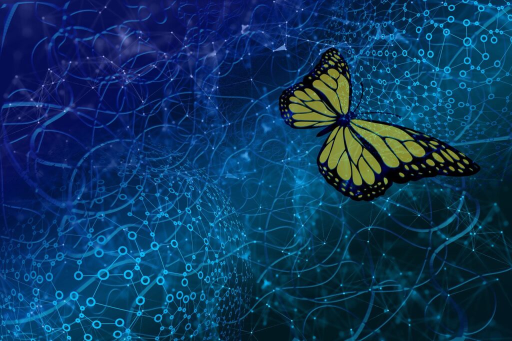 butterfly, social network, globalization-8009970.jpg